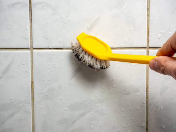 Best Emergency Mold Removal  in Republic, WA