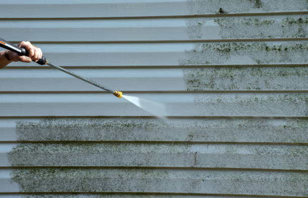 Best Mold Removal Specialists  in Republic, WA