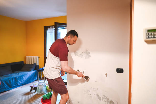 Mold Testing and Removal in Republic, WA